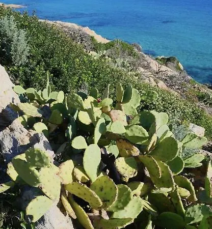 Feriehus La Dolce Mazet A Golfe De Saint Tropez *