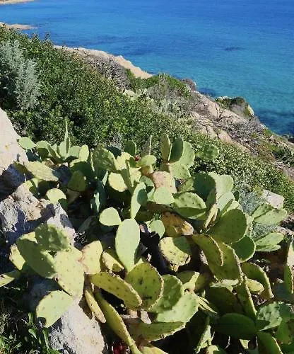 Сasa de vacaciones La Dolce Mazet A Golfe De Saint Tropez *